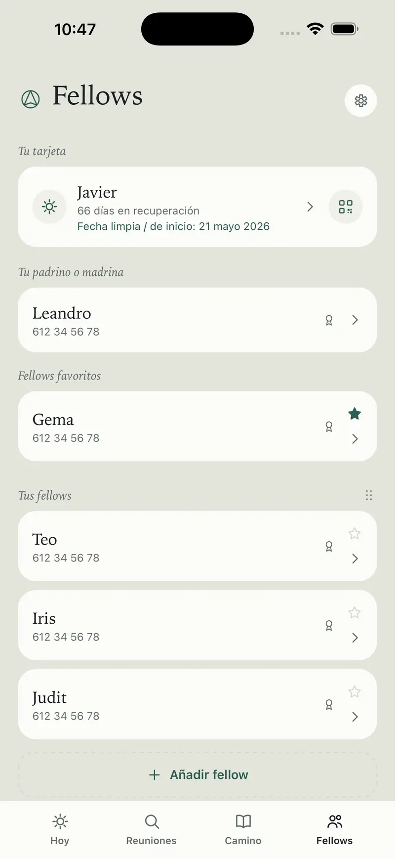 Tu padrino o madrina y tus fellows en Fellow Finder